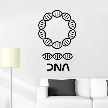 DNA Vinil Duvar Çıkartmaları Şecere Biyoloji Kimya Okul Odası Dekorasyon Su Geçirmez Bilim duvar çıkartmaları Genç Yatak Odası S517